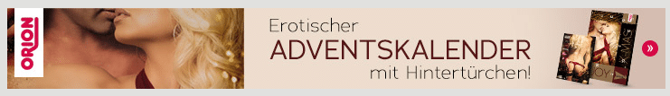 Banner Adventskalender ORION