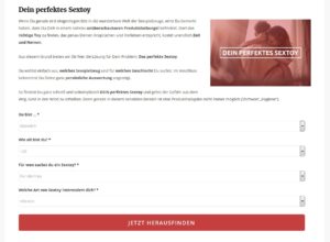 Dein perfektes Sextoy - copycat