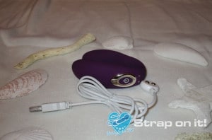 Paarvibrator Eisde