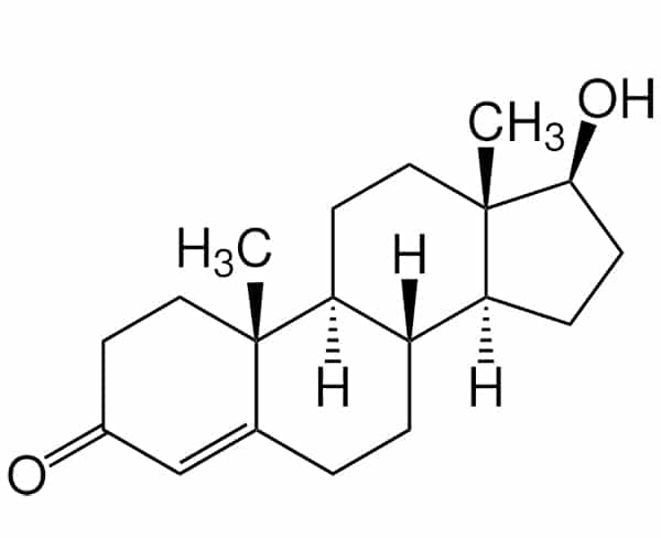 Testosteron